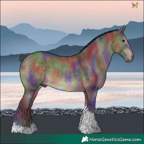 Horse Color:Nacre Brown Dun Tobiano 
