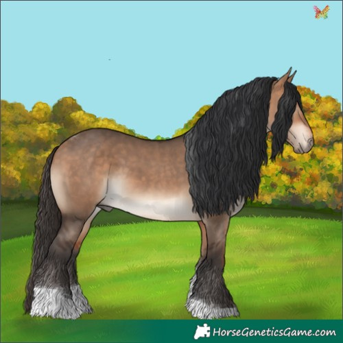 Horse Color:Bay Dun Tobiano 