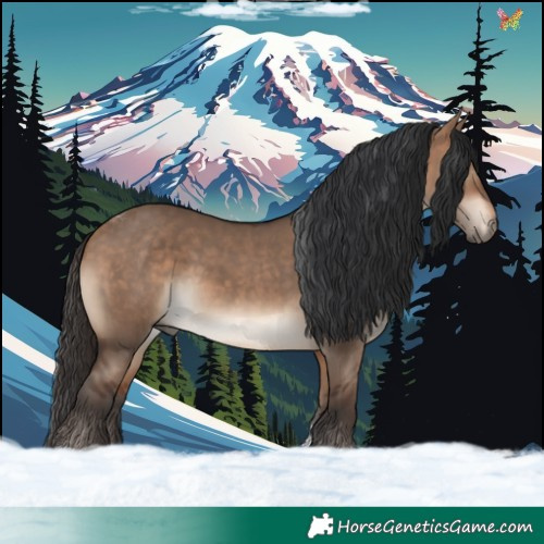 Horse Color:Bay Dun Tobiano 