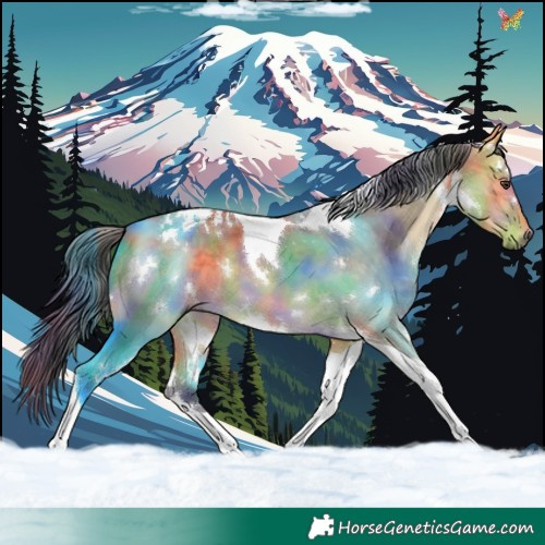 Horse Color:Nacre White Spotted Buckskin Dun Tobiano 