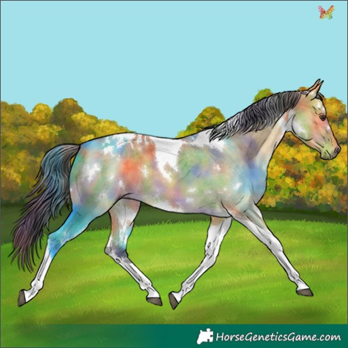 Horse Color:Nacre White Spotted Buckskin Dun Tobiano 
