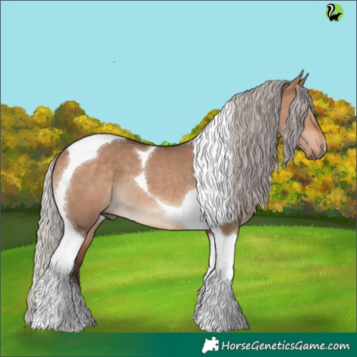 Horse Color:Silver Brown Dun Tobiano 