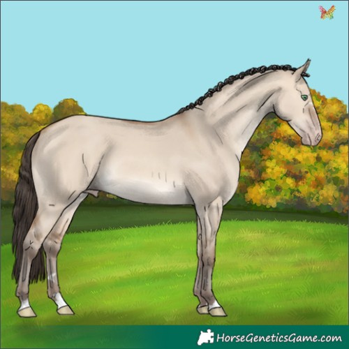Horse Color:Amber Champagne Dun 