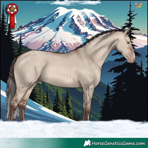 Horse Color:Sable Champagne Dun Rabicano 