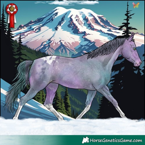 Horse Color:Watercolor White Spotted Sable Champagne Blanket Rabicano 