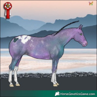 Horse Color:Watercolor White Spotted Sable Champagne Blanket Rabicano 