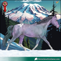 Horse Color:Watercolor White Spotted Sable Champagne Appaloosa Rabicano