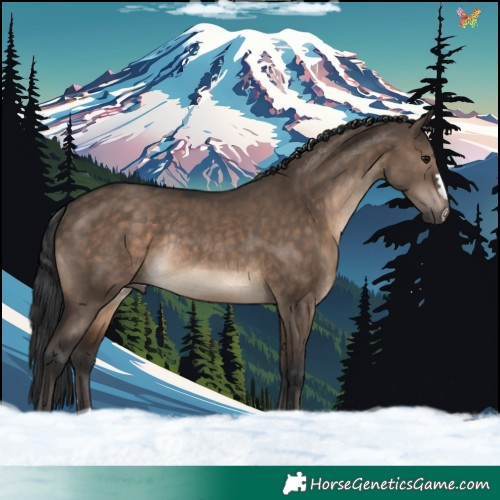 Horse Color:Brown Dun Rabicano 