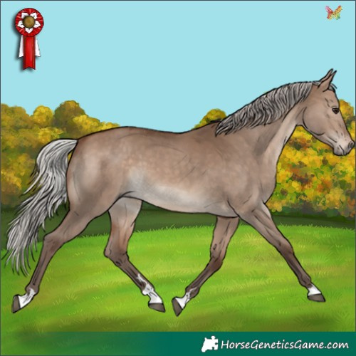 Horse Color:Silver Brown Dun 