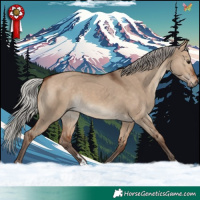 Horse Color:Silver Brown Dun