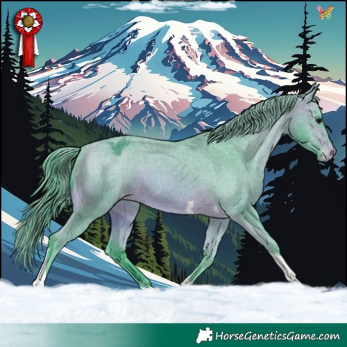 Horse Color:Watercolor Bay Tobiano Varnish Rabicano 