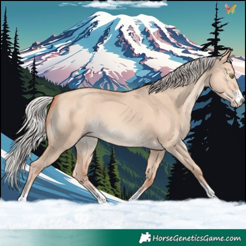 Horse Color:Silver Amber Champagne Dun Rabicano 