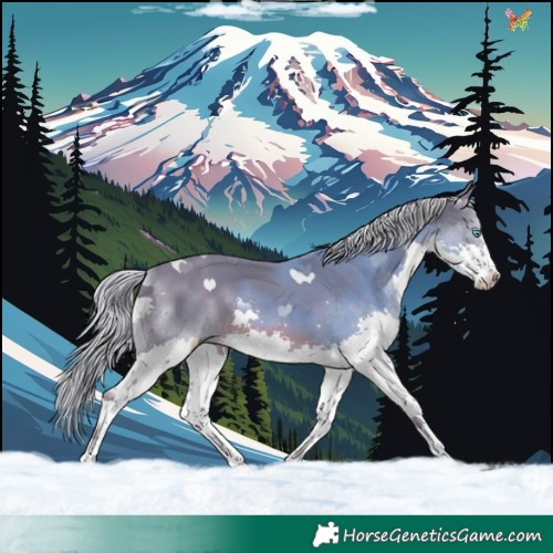 Horse Color:Watercolor Chocolate Palomino Splash 