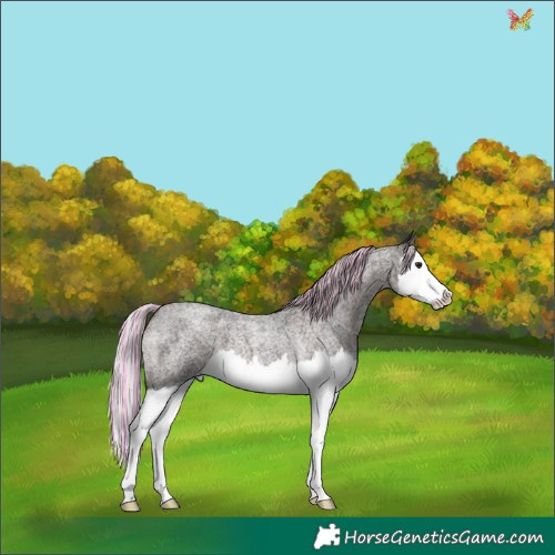 Horse Color:Painted Silver Brown Ice Roan Splash 