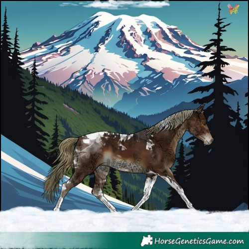 Horse Color:Liver Chestnut Ice Mushroom Tobiano 