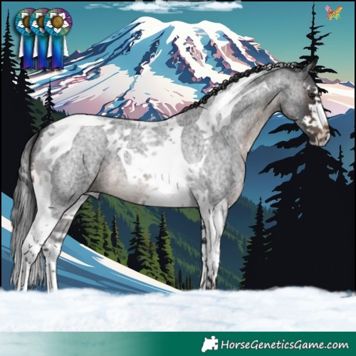 Horse Color:Brown Roan Splash Tobiano 
