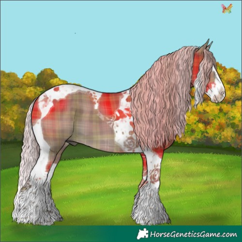 Horse Color:Plaid  Silver Grullo Splash Tobiano 