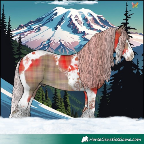 Horse Color:Plaid  Silver Grullo Splash Tobiano 