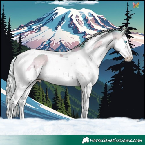 Horse Color:Platinum Watercolor Silver Brown Onyx Splash Tobiano 
