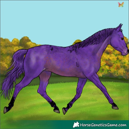 Horse Color:Void Watercolor Brown Tobiano Appaloosa 