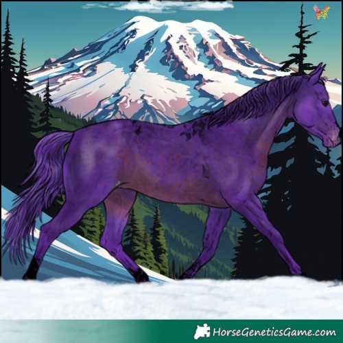 Horse Color:Void Watercolor Brown Tobiano Varnish 