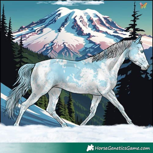 Horse Color:Watercolor White Spotted Black Splash Tobiano 