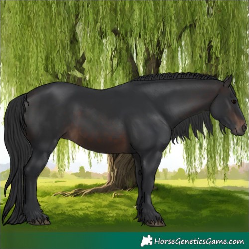 Horse Color:Brown 