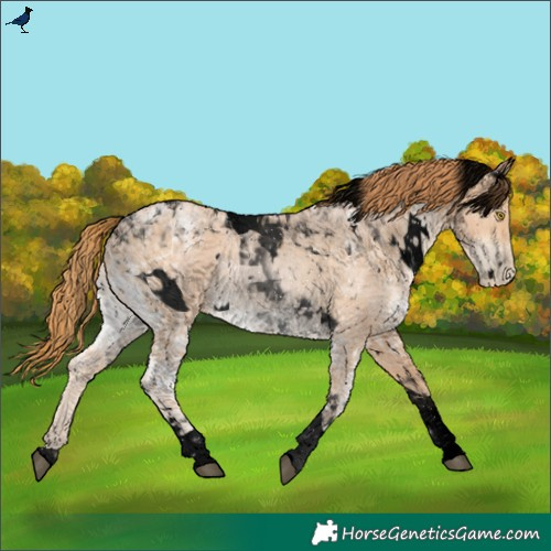 Horse Color:Void White Spotted Chestnut Ice Pearl Tobiano Rabicano