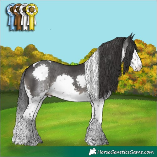 Horse Color:Black Splash Tobiano