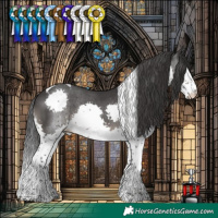 Horse Color:Black Splash Tobiano