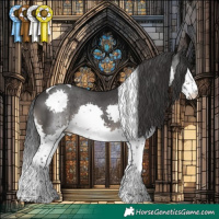 Horse Color:Black Splash Tobiano 