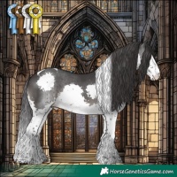 Horse Color:Black Splash Tobiano 