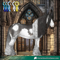 Horse Color:Black Splash Tobiano 