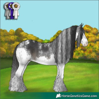Horse Color:Powder White Black Splash Varnish 