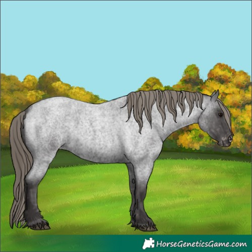 Horse Color:Smoky Blue Roan Varnish 
