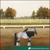 Horse Color:Brown Roan 