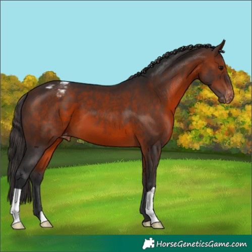Horse Color:Brown Varnish 