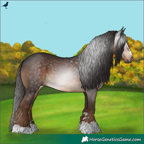 Horse Color:Gray Liver Chestnut