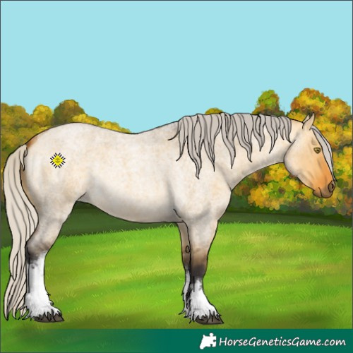 Horse Color:White Spotted Silver Buckskin Roan Dun Rabicano 