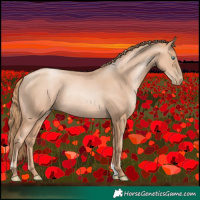 Horse Color:Gold Champagne Pearl Rabicano and Gold Champagne Pearl Rabicano