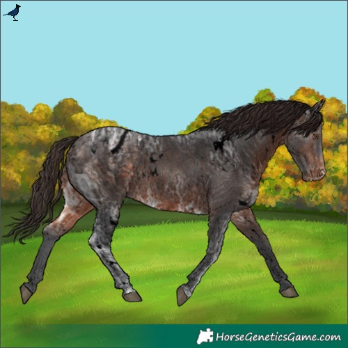 Horse Color:Void White Spotted Brown Ice Varnish Rabicano