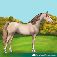 Horse Color:Gold Champagne Pearl Rabicano  and Gold Champagne Pearl Rabicano 