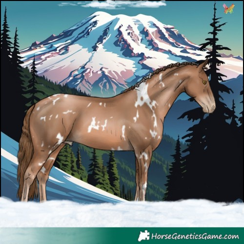 Horse Color:White Spotted Liver Chestnut Pearl 