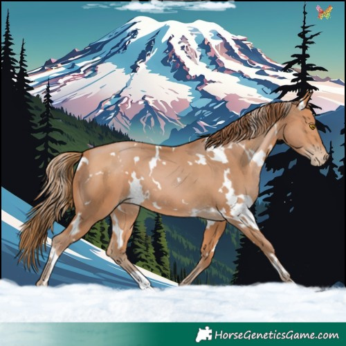 Horse Color:White Spotted Bay Pearl 