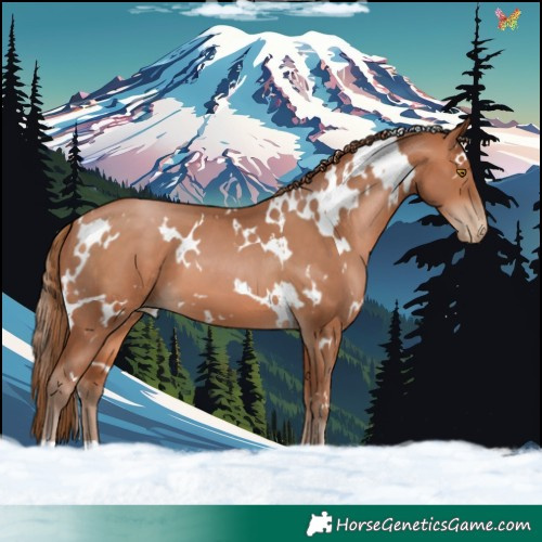 Horse Color:White Spotted Brown Pearl 