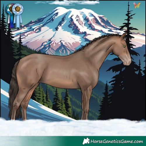 Horse Color:Sable Champagne 