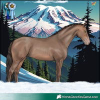 Horse Color:Sable Champagne 
