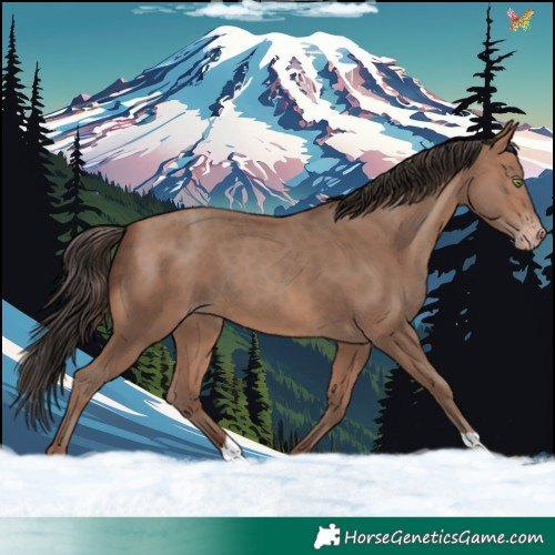 Horse Color:Sable Champagne 
