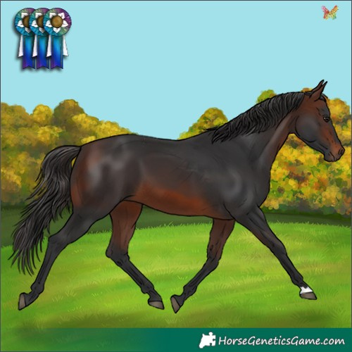 Horse Color:Brown 