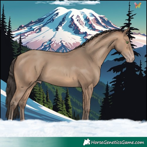 Horse Color:Sable Champagne 